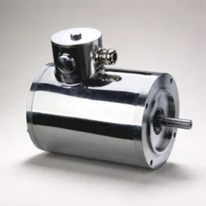 cat-stainless-steel-motor