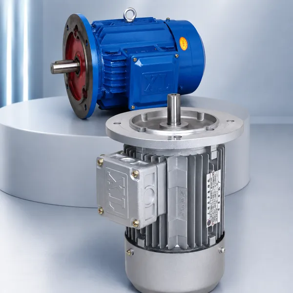 Home Three-Phase Induction Motor IE3 IE4 Supplier Korea Ever-Power